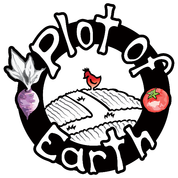 Plot of Earth logo